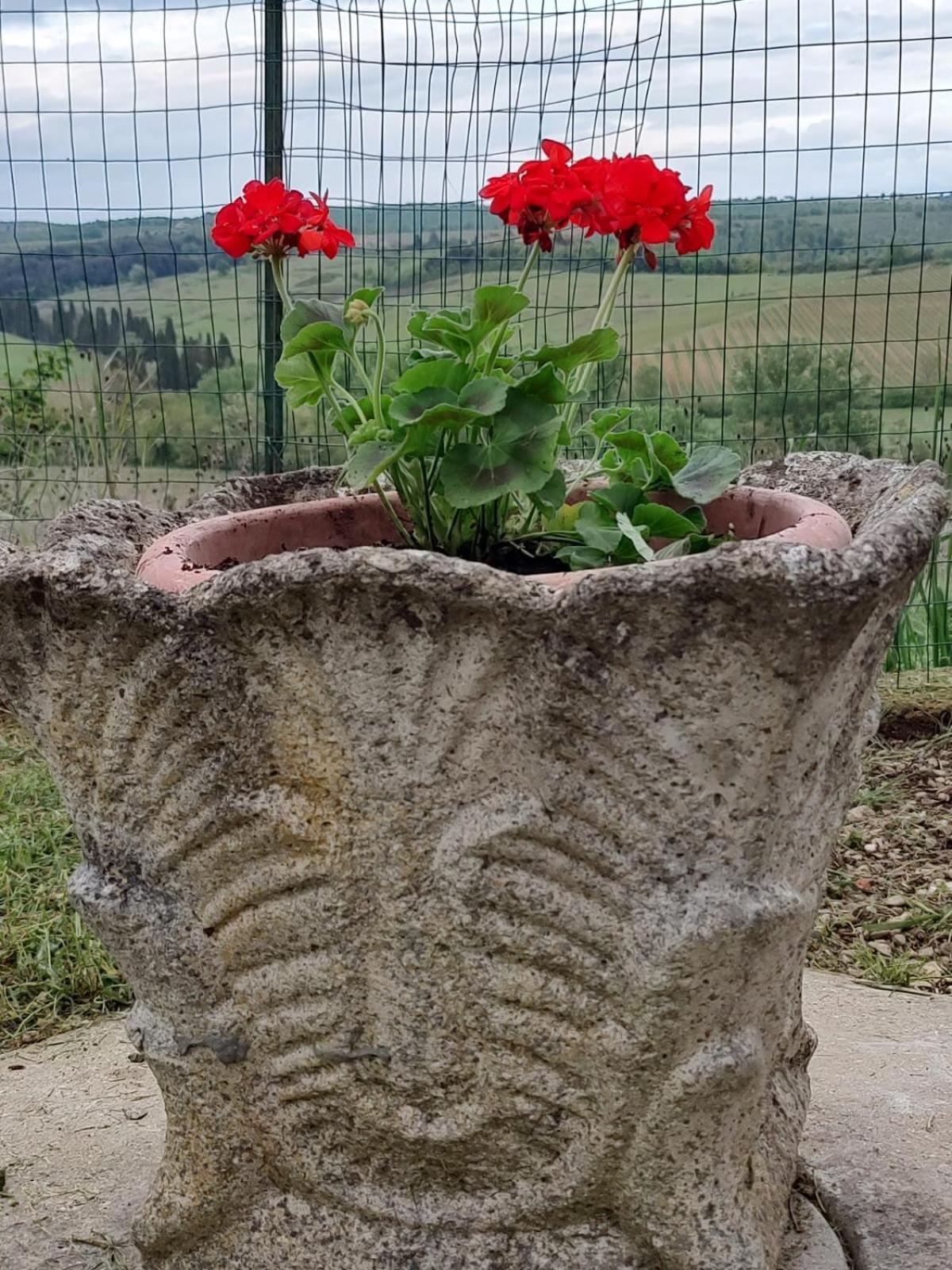 Il Giardino Del Chianti Appartement Siena Buitenkant foto