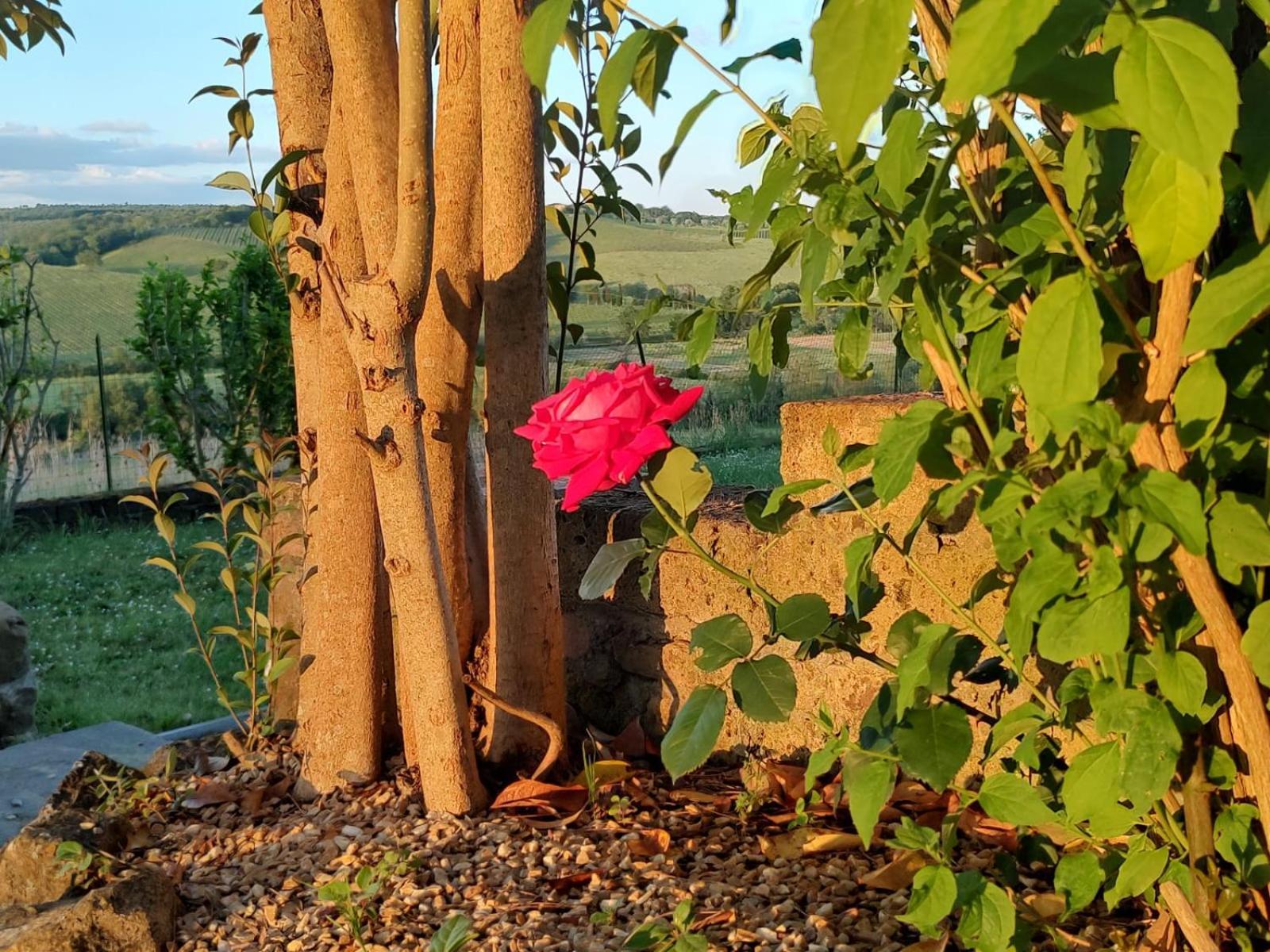 Il Giardino Del Chianti Appartement Siena Buitenkant foto