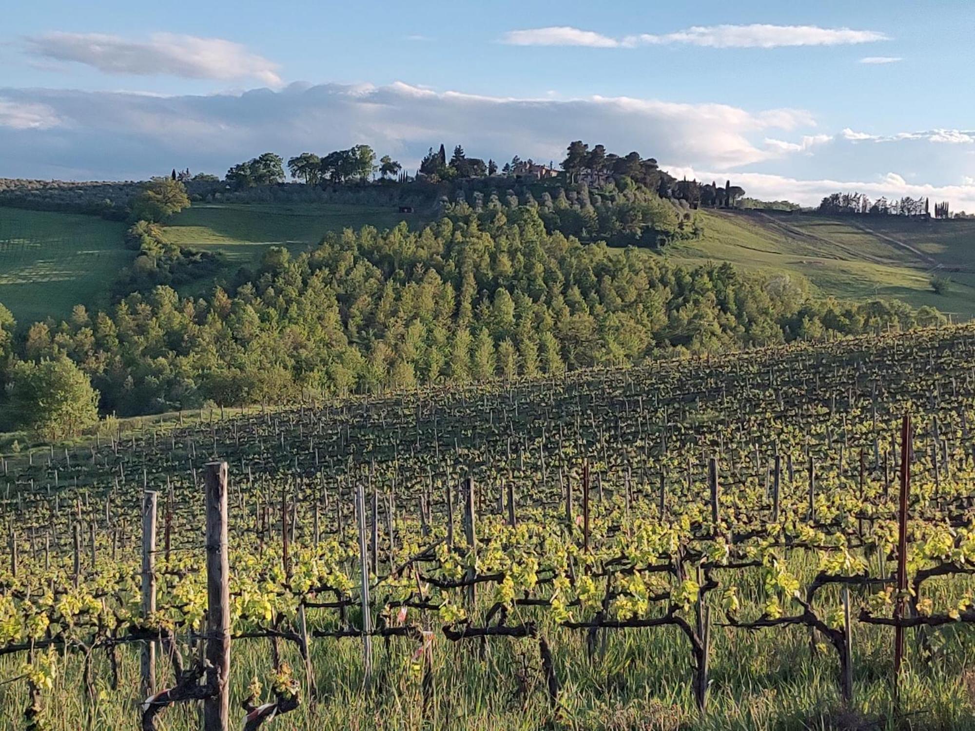 Il Giardino Del Chianti Appartement Siena Buitenkant foto